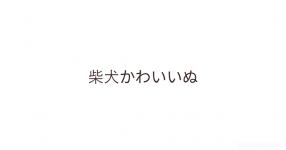 柴犬かわいいぬ 柴犬かわいいぬ