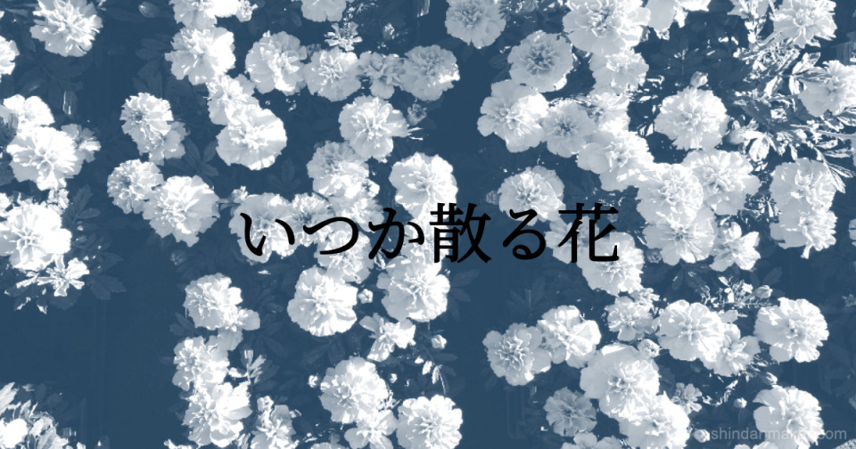 いつか散る花 いつか散る花