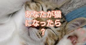 あなたに似てる ディズニーキャラ