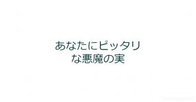 ワンピース風二つ名メーカー Ver 3 ワンピース風二つ名メーカー Ver 3