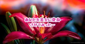 X80rvg2tw 3hym X80rvg2tw 3hym