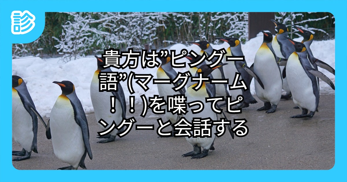 貴方は ピングー語 マーグナーム を喋ってピングーと会話する 貴方は ピングー語 マーグナーム を喋ってピングーと会話する
