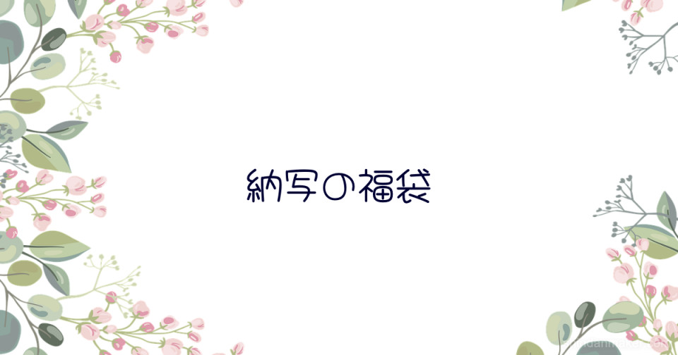 納写の福袋 納写の福袋