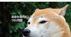 ネタ がテーマの診断 診断メーカー