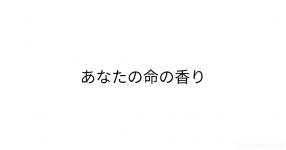 うるせ 知らね